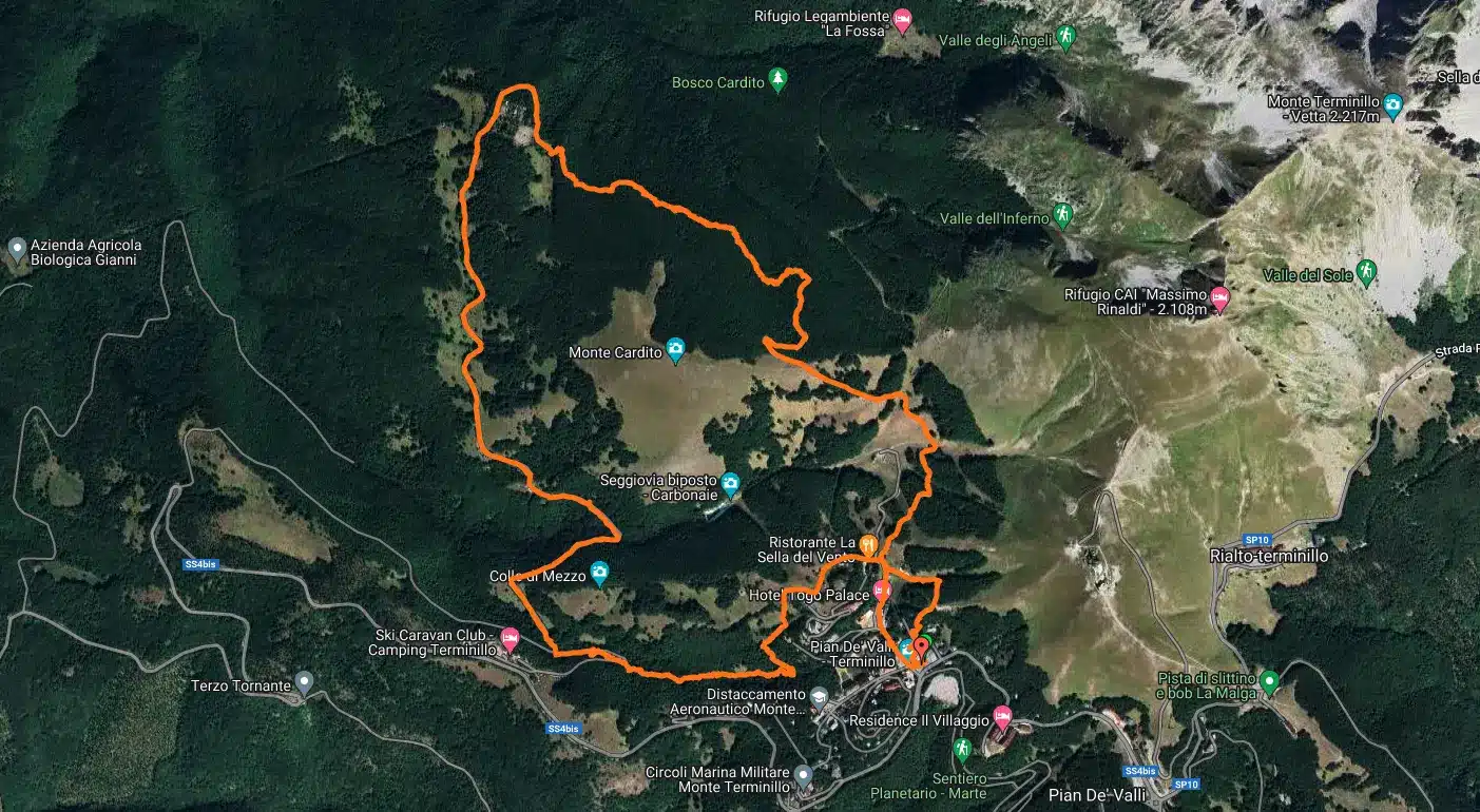 mappa k10 cardito