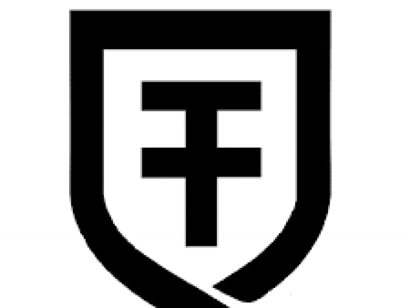logo forcetek 2